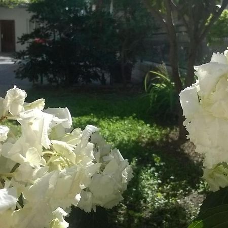 Apartman Renata Omis Exterior photo